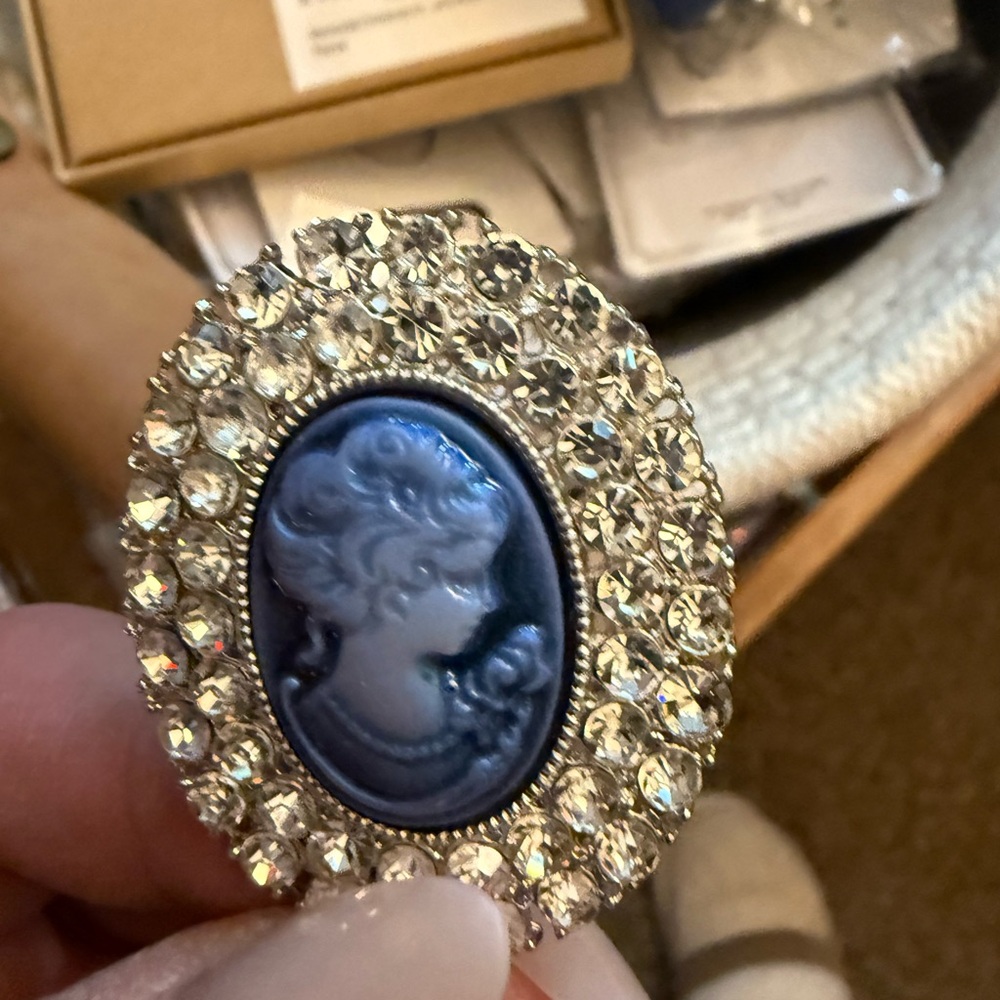 Elegant Blue Cameo Brooch with Silver Accents